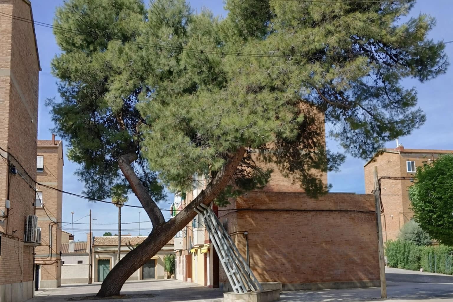 Comunicado Asociación de Vecinos y Comunidad de Propietarios Barriada de Pío XII.